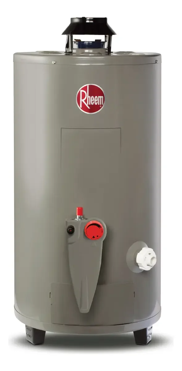 Rheem Todo Terreno calentador de depósito de 48 L